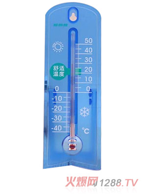 柯麗雅兩用室內(nèi)溫濕度計(jì)1